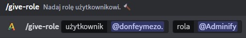 Wygląd użycia komendy /give-role